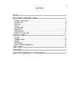 Referāts 'Iedzīvotāju labklājības līmenis Brazīlijā', 2.