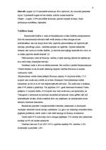 Referāts 'Iedzīvotāju labklājības līmenis Brazīlijā', 6.