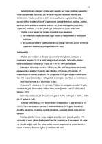 Referāts 'Iedzīvotāju labklājības līmenis Brazīlijā', 7.