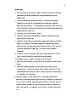 Referāts 'Iedzīvotāju labklājības līmenis Brazīlijā', 19.