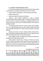 Referāts 'AS "Grindeks" finanšu izpēte un novērtējums', 7.