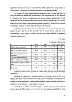 Referāts 'AS "Grindeks" finanšu izpēte un novērtējums', 12.