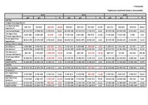 Referāts 'AS "Grindeks" finanšu izpēte un novērtējums', 20.