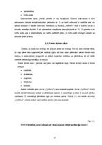 Referāts 'SIA "Petits" un SIA "Fenster" konkurētspējas salīdzinājums', 10.