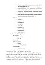 Referāts 'SIA "Petits" un SIA "Fenster" konkurētspējas salīdzinājums', 18.