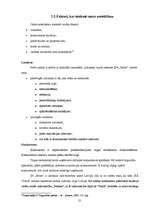 Referāts 'SIA "Petits" un SIA "Fenster" konkurētspējas salīdzinājums', 21.