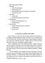 Referāts 'SIA "Petits" un SIA "Fenster" konkurētspējas salīdzinājums', 28.