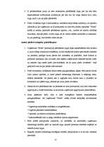 Referāts 'SIA "Petits" un SIA "Fenster" konkurētspējas salīdzinājums', 41.