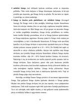 Diplomdarbs 'Līzinga izmantošana uzņēmējdarbībā', 27.