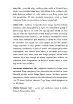 Diplomdarbs 'Līzinga izmantošana uzņēmējdarbībā', 44.