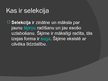 Prezentācija 'Selekcija', 2.