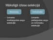 Prezentācija 'Selekcija', 9.
