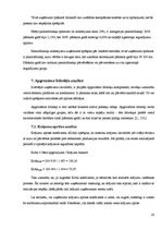 Prakses atskaite 'SIA "X" finanšu analīze', 20.