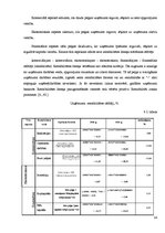 Prakses atskaite 'SIA "X" finanšu analīze', 24.