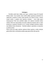 Prakses atskaite 'SIA "X" finanšu analīze', 31.