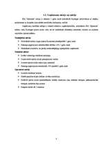 Biznesa plāns 'Sporta klubs "Spartaks"', 6.