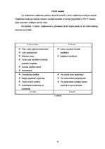 Biznesa plāns 'Sporta klubs "Spartaks"', 18.