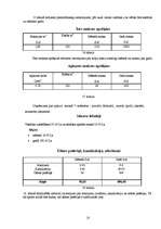 Biznesa plāns 'Sporta klubs "Spartaks"', 22.