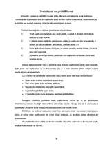 Biznesa plāns 'Sporta klubs "Spartaks"', 29.