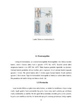 Referāts 'Kontrastdušas ietekme uz cilvēka veselību un pašsajūtu', 6.