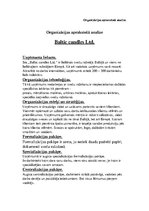 Paraugs 'SIA "Baltc Candles" organizācijas aprakstošā analīze', 1.
