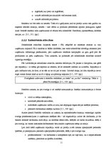 Prakses atskaite 'Pakalpojumu virzības pasākumu novērtējums SIA Biznesa augstskola Turība', 11.