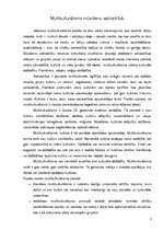 Referāts 'Multikulturālisms mūsdienu sabiedrībā', 3.