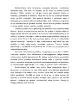 Referāts 'Multikulturālisms mūsdienu sabiedrībā', 4.