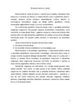 Referāts 'Multikulturālisms mūsdienu sabiedrībā', 5.