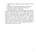 Referāts 'Multikulturālisms mūsdienu sabiedrībā', 8.