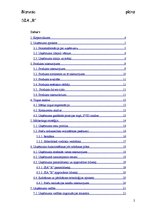 Biznesa plāns 'SIA "R" biznesa plāns', 2.