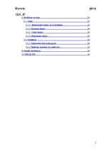 Biznesa plāns 'SIA "R" biznesa plāns', 3.