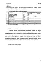 Biznesa plāns 'SIA "R" biznesa plāns', 6.