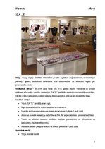 Biznesa plāns 'SIA "R" biznesa plāns', 7.