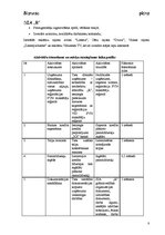 Biznesa plāns 'SIA "R" biznesa plāns', 8.