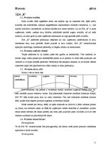 Biznesa plāns 'SIA "R" biznesa plāns', 11.