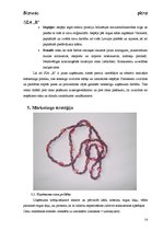 Biznesa plāns 'SIA "R" biznesa plāns', 14.