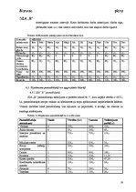 Biznesa plāns 'SIA "R" biznesa plāns', 19.