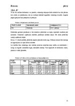 Biznesa plāns 'SIA "R" biznesa plāns', 22.