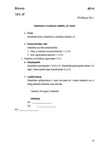 Biznesa plāns 'SIA "R" biznesa plāns', 29.