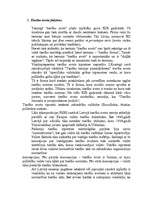 Referāts 'Tiesību avoti (formas)', 3.