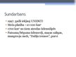 Prezentācija 'Sundarbans', 6.