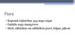 Prezentācija 'Sundarbans', 8.