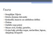 Prezentācija 'Sundarbans', 9.