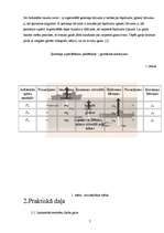 Referāts 'Vai Mr.Bīns melo?', 7.