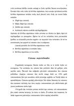 Konspekts 'Cietumsodu vēsture', 8.