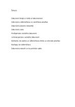 Paraugs 'Dokumenti', 2.