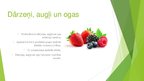 Prezentācija 'Dārzeņi, augļi un ogas', 2.