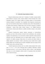 Referāts 'Abstrakcionismam raksturīgākās iezīmes un tā populārākie pārstāvji', 6.