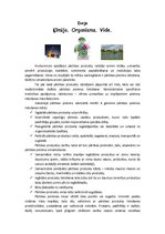 Eseja 'Ķīmija. Organisms. Vide', 1.